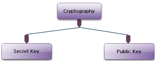 Categories